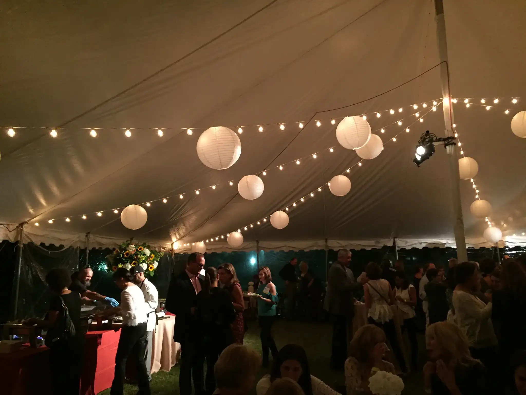 Hendersonville lakeside reception with string lights